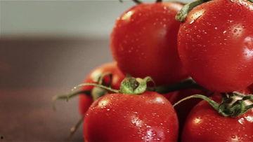 蕃茄视频,短视频时代的潮流引领者