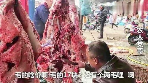 宰牛视频,揭秘宰牛现场的真实画面