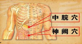 按摩穴位视频,轻松掌握养生保健秘籍