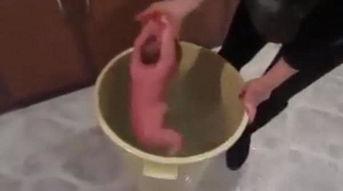 虐尿道视频