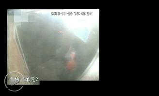 虐尿道视频