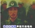 军鸽视频大全,视频大全中的英勇瞬间