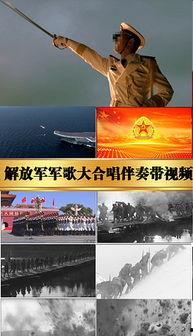 军鸽视频大全,视频大全中的英勇瞬间
